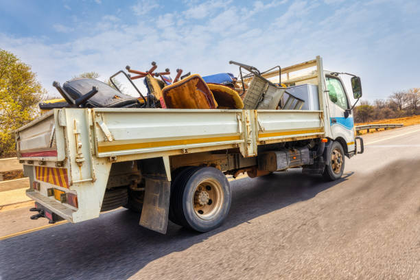 Best Basement Cleanout Services  in Wesley Chapel, FL